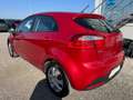 Kia Rio 1,2 MPI Titan_Klima_Service und Kupplung NEU Rot - thumbnail 3