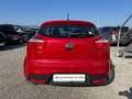 Kia Rio 1,2 MPI Titan_Klima_Service und Kupplung NEU Rot - thumbnail 4