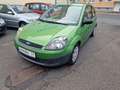 Ford Fiesta Ambiente Verde - thumbnail 3