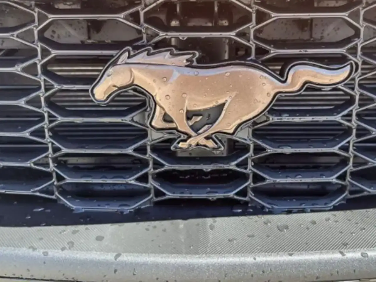 Ford Mustang снимка Ford Mustang