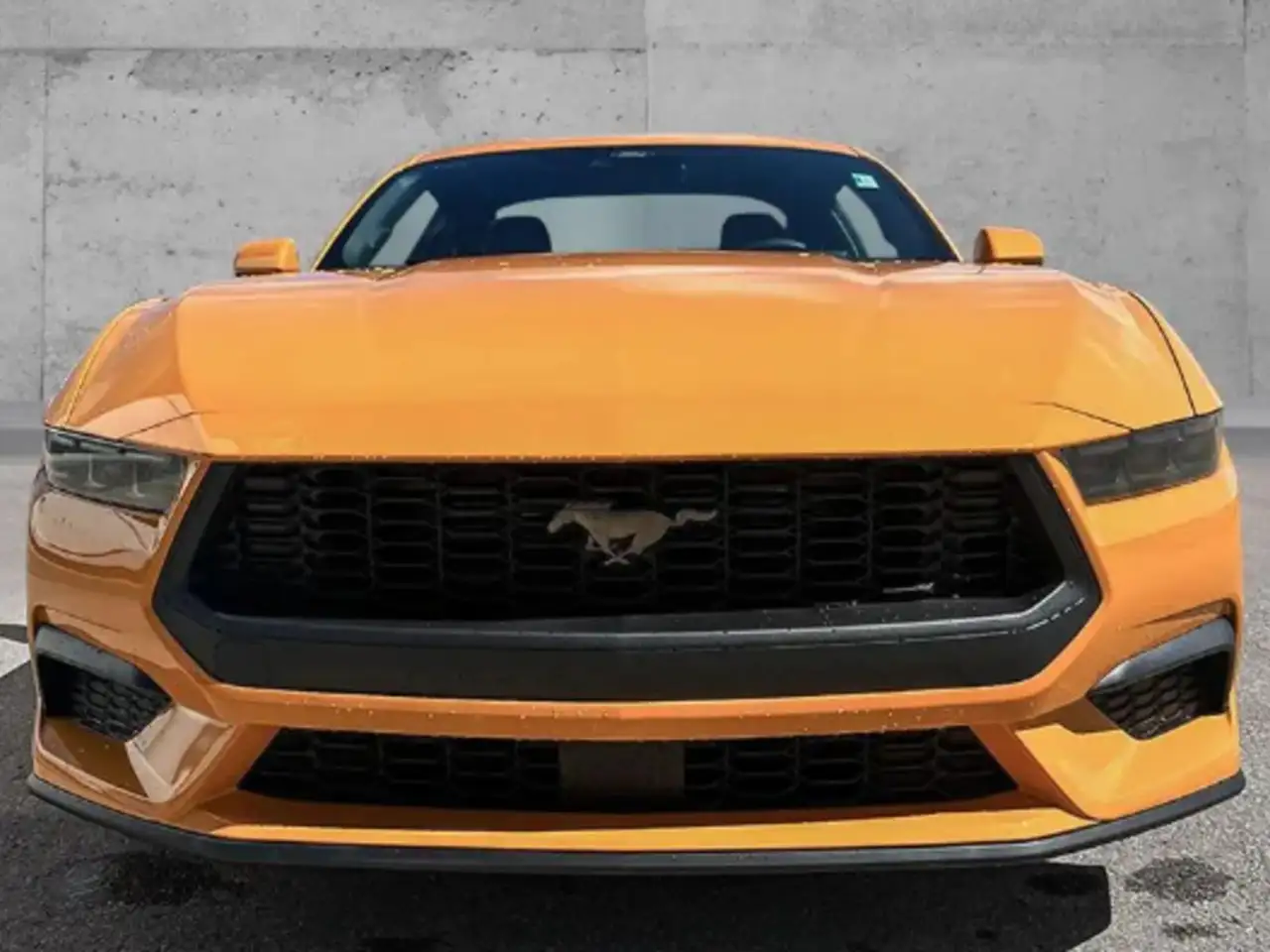 Ford Mustang снимка Ford Mustang