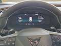 CUPRA Formentor TRIBE e-HYBRID 204 PS DSG Grün - thumbnail 9