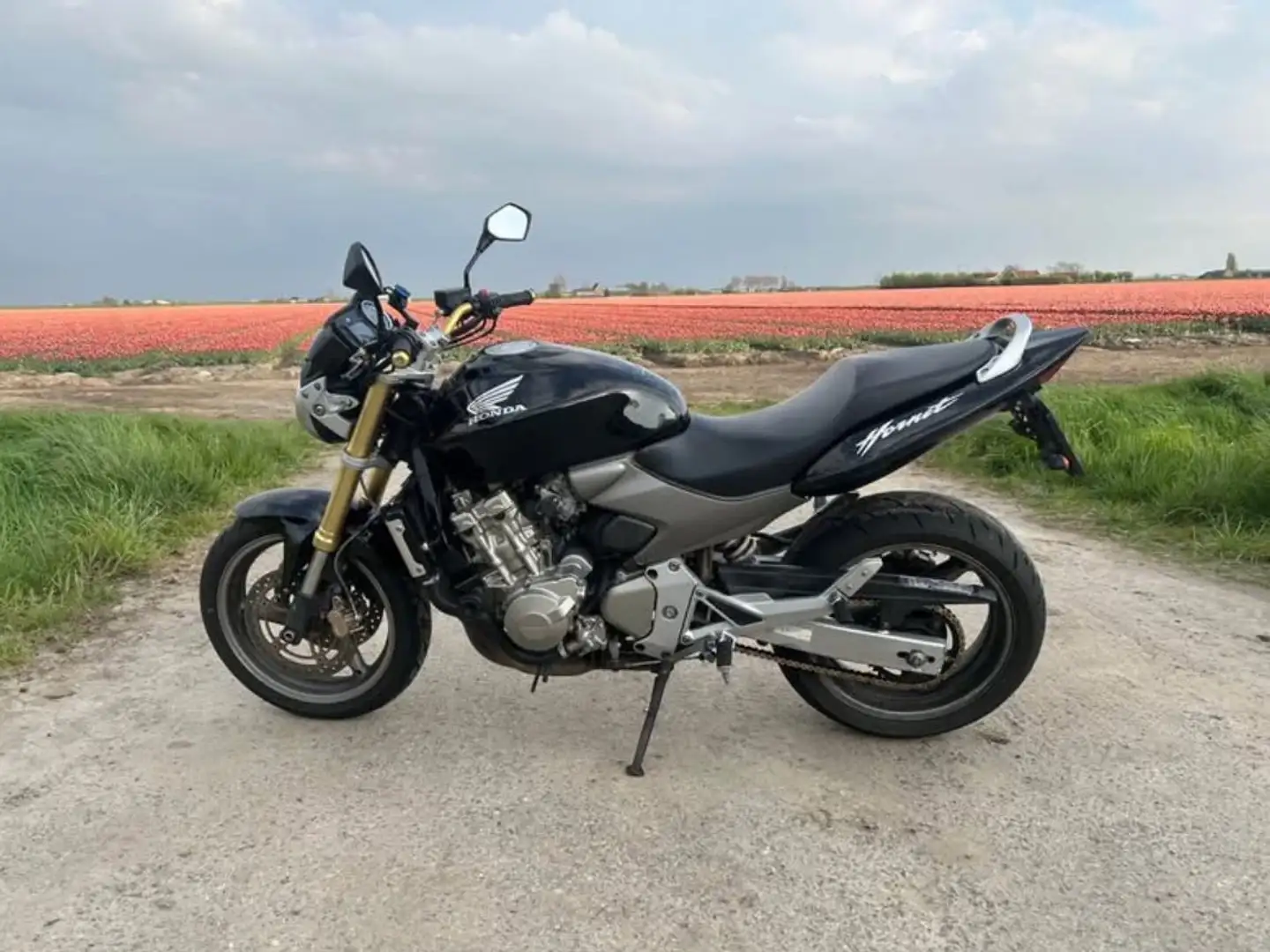 Honda CB 600 Noir - 1