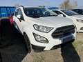 Ford EcoSport 1.5 tdci 125 CV Titanium awd s&s Blanco - thumbnail 2