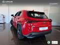 Lexus UX 250h Business 2WD Rot - thumbnail 14