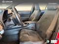 Lexus UX 250h Business 2WD Rot - thumbnail 15