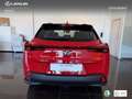 Lexus UX 250h Business 2WD Rot - thumbnail 5