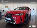 Lexus UX 250h Business 2WD Rot - thumbnail 1
