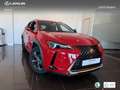 Lexus UX 250h Business 2WD Rot - thumbnail 12