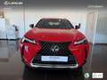 Lexus UX 250h Business 2WD Rot - thumbnail 4