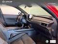 Lexus UX 250h Business 2WD Rot - thumbnail 6