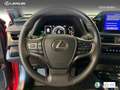 Lexus UX 250h Business 2WD Rot - thumbnail 17