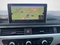 Audi A4 A4 Avant Avant 2.0 tdi Business 150cv Grigio - thumbnail 15