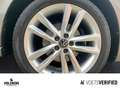 Volkswagen Polo 1.0 TSI Highline LED+NAVI+RFK Grau - thumbnail 6