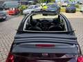 Fiat 500C Collezione II 1.2 Fire 70 Rot - thumbnail 12