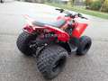 Can Am DS 90 Kinderquad Red - thumbnail 6