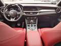 Alfa Romeo Stelvio 2.2 Turbodiesel 210 CV AT8 Q4 Veloce - thumbnail 8