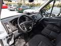 Ford Transit Kasten 350 L3 Trend AHK Parkpilot Weiß - thumbnail 5