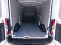 Ford Transit Kasten 350 L3 Trend AHK Parkpilot Weiß - thumbnail 17