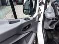 Ford Transit Kasten 350 L3 Trend AHK Parkpilot Weiß - thumbnail 12