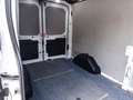 Ford Transit Kasten 350 L3 Trend AHK Parkpilot Weiß - thumbnail 16