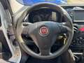 Fiat Qubo 1.3 MJT 75 CV Active NEOPATENTATI Bianco - thumbnail 12