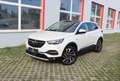 Opel Grandland X Dynamic | PANO | NAVI | RFK | LED | SITZKÜHL. - thumbnail 12