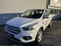 Ford Kuga 1.5 TDCi 2x4 Aut. Trend Blanc - thumbnail 1