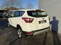 Ford Kuga 1.5 TDCi 2x4 Aut. Trend Blanc - thumbnail 5