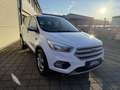 Ford Kuga 1.5 TDCi 2x4 Aut. Trend Blanc - thumbnail 2