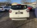 Ford Kuga 1.5 TDCi 2x4 Aut. Trend Blanc - thumbnail 6