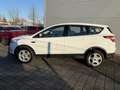 Ford Kuga 1.5 TDCi 2x4 Aut. Trend Blanc - thumbnail 4