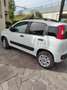 Fiat Panda 0.9 t.air t. 4x4 s&s 85cv my19 - thumbnail 6