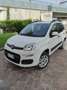Fiat Panda 0.9 t.air t. 4x4 s&s 85cv my19 - thumbnail 1