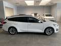 Ford Focus 1.5 EcoBlue 120 CV automatico SW Active Style Blanc - thumbnail 5