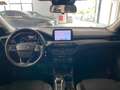Ford Focus 1.5 EcoBlue 120 CV automatico SW Active Style Blanc - thumbnail 7