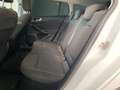 Ford Focus 1.5 EcoBlue 120 CV automatico SW Active Style Blanc - thumbnail 10