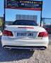 Mercedes-Benz E 250 Cabrio 250CDI 7G Plus Blanco - thumbnail 11