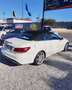 Mercedes-Benz E 250 Cabrio 250CDI 7G Plus Blanco - thumbnail 14