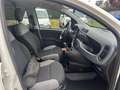 Fiat Panda Panda 1.0 GSE S&S Hybrid Pop Van 2 posti Blanc - thumbnail 14