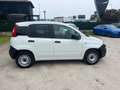 Fiat Panda Panda 1.0 GSE S&S Hybrid Pop Van 2 posti Blanc - thumbnail 4