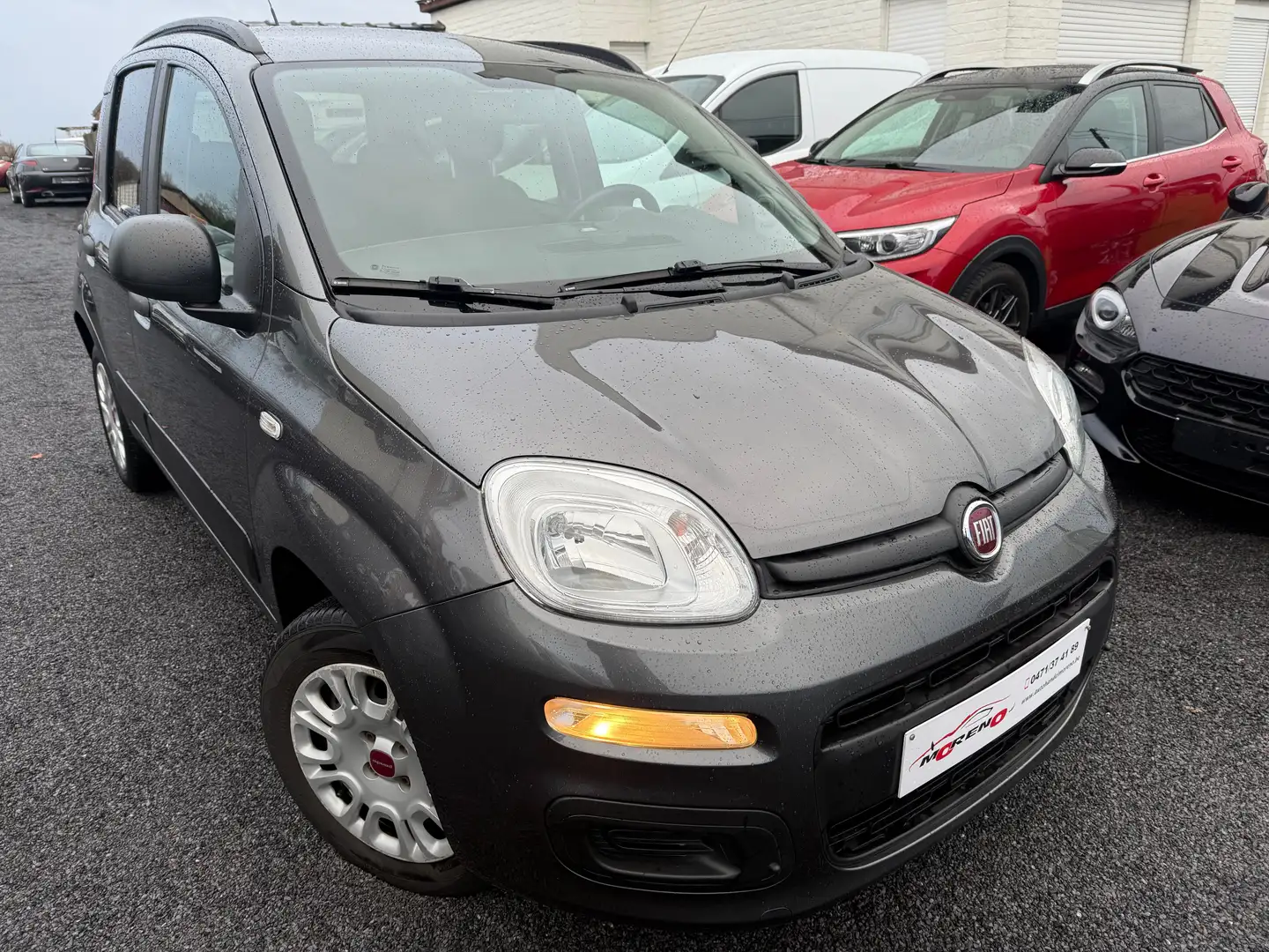 Fiat New Panda 12 Maanden waarborg Gri - 2