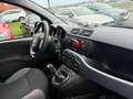 Fiat New Panda 12 Maanden waarborg Gri - thumbnail 6