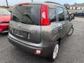 Fiat New Panda 12 Maanden waarborg Gri - thumbnail 3