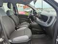 Fiat New Panda 12 Maanden waarborg Gri - thumbnail 7