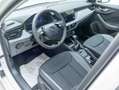 Skoda Scala Drive 1.0 TSI DSG*MATRIX-LED*SHZ*AHKV*RFK Weiß - thumbnail 12