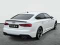 Audi S5 3.0 TDI quattro Sportback | CARBON | MATRIX | Weiß - thumbnail 6