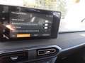 Dacia Sandero Stepway Expression, NAVI, SHZ, KLIMA, RFK uvm. Azul - thumbnail 15