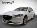 Mazda 6 AUT Cam SHZ Weiß - thumbnail 1