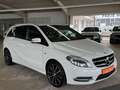 Mercedes-Benz B 200 ATG 2Hand *AHK*SHZ*NAV*PDC*BX*TEM* Weiß - thumbnail 5